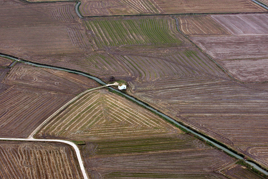Vista aérea de campos de cultivo en la huerta (Horta Sur)  Foto Carles Francesc