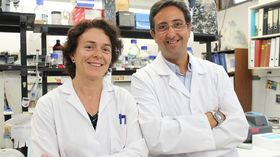Los investigadores del CEU-UCH José Miguel Soria y María Ángeles García.