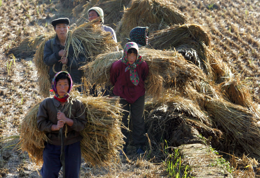 El índice de pobreza de la China rural se ha reducido a la mitad en los últimos años