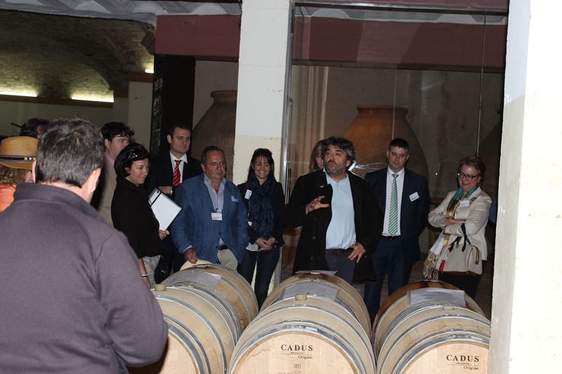 VISITA DE LOS SOCIOS DE LA ASOCIACIÓN ESPAÑOLA DE DIRECTIVOS A LA BODEGA MUSTIGUILLO (UTIEL)